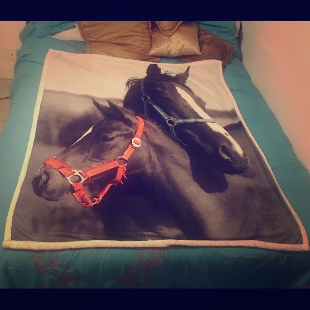 Horse blanket!
